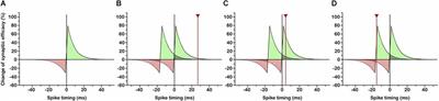 Neural synchrony in cortical networks: mechanisms and implications for neural information processing and coding